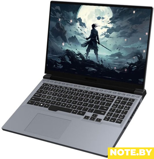 Игровой ноутбук Mechrevo Jiaolong 16 Pro 747Q0