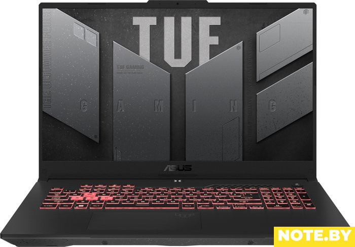 Игровой ноутбук ASUS TUF Gaming A17 FA707RR-HX006W