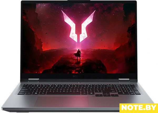 Игровой ноутбук Lecoo Fighter 7000 2025 870041049-LK Игровой ноутбук Lecoo Fighter 7000 2025 870041049-LK