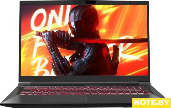 Игровой ноутбук Maibenben X725 X725FSFNLBRE0 Игровой ноутбук Maibenben X725 X725FSFNLBRE0