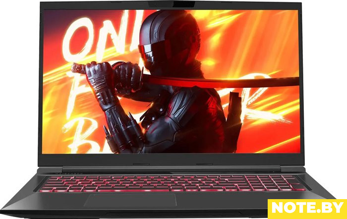 Игровой ноутбук Maibenben X725 X725FSFNLBRE0