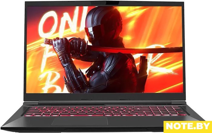 Игровой ноутбук Maibenben X668 X668QSFELBRE0